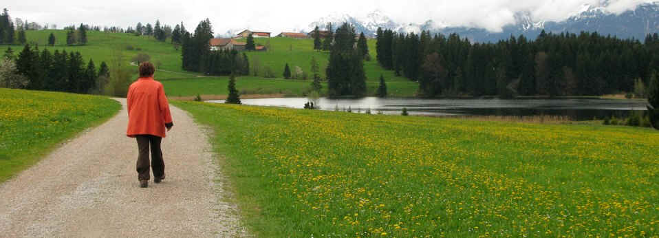 Kögelweiher Schwaltenweiher