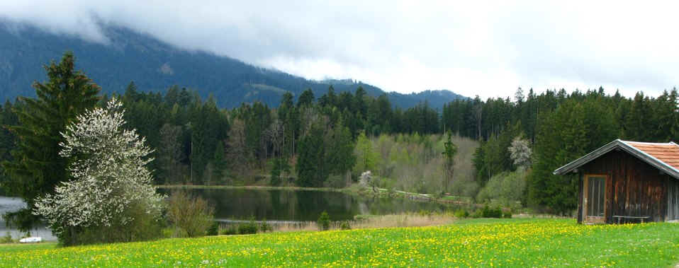 Kögelweiher Schwaltenweiher