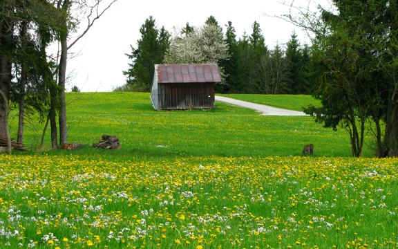 Kögelweiher Schwaltenweiher