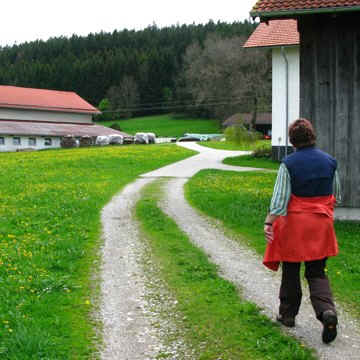 Kögelweiher Schwaltenweiher