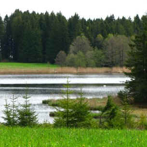 Kögelweiher Schwaltenweiher