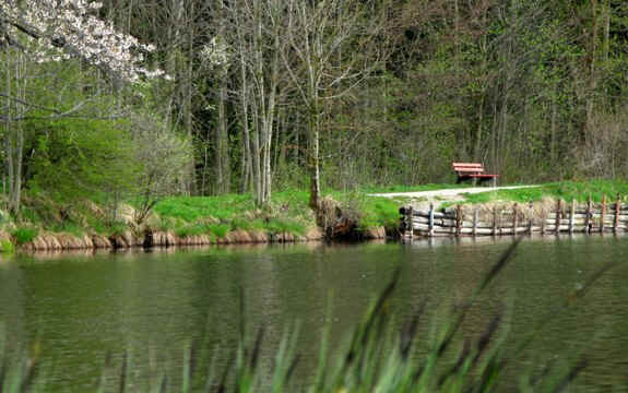 Kögelweiher Schwaltenweiher