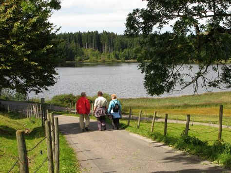 Kögelweiher Schwaltenweiher