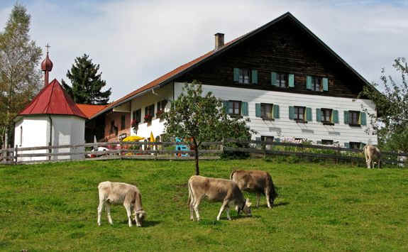 Kögelweiher Schwaltenweiher