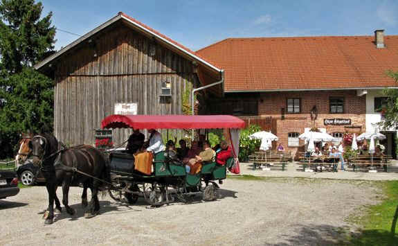 Kögelweiher Schwaltenweiher