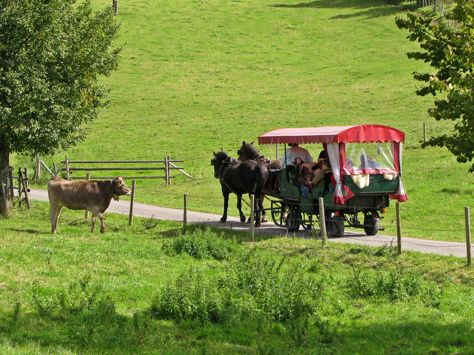 Kögelweiher Schwaltenweiher