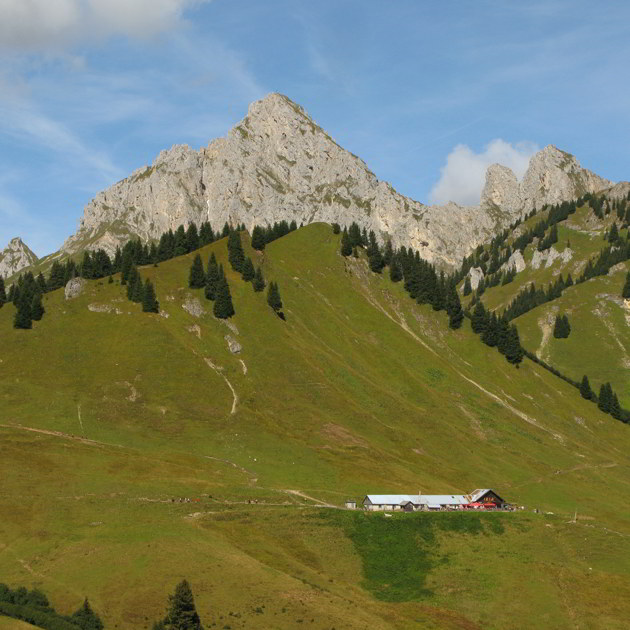 Lechaschauer und Gehren Alm