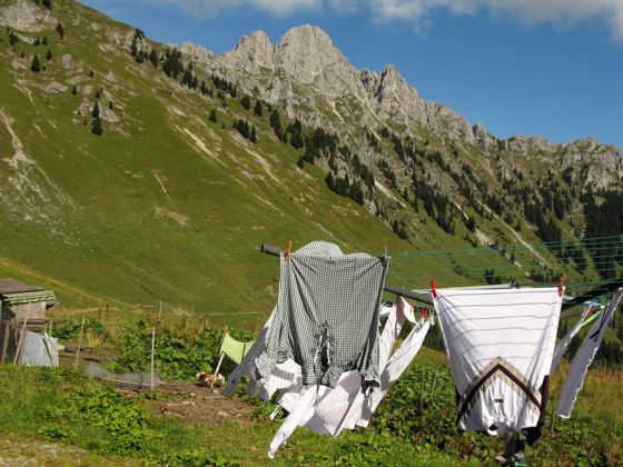 Lechaschauer und Gehren Alm