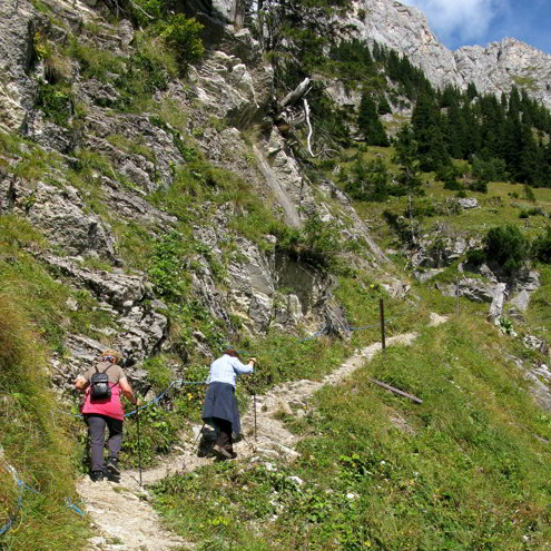 Lechaschauer und Gehren Alm