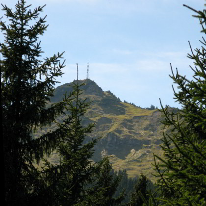 Lechaschauer und Gehren Alm