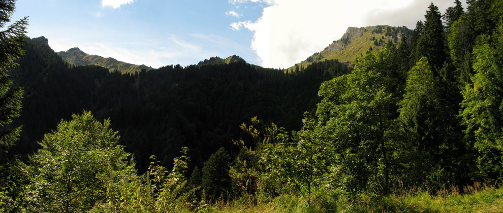 Lechaschauer und Gehren Alm