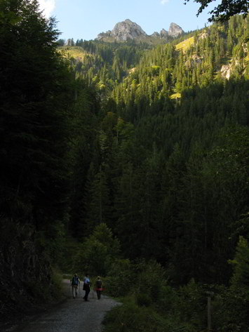 Lechaschauer und Gehren Alm