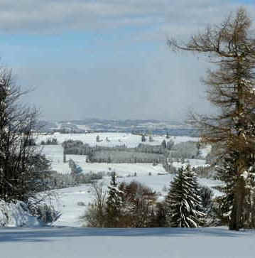 Panoramaweg Oy-Mittelberg