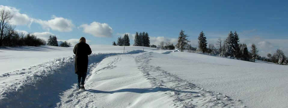 Panoramaweg Oy-Mittelberg