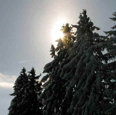 Panoramaweg Oy-Mittelberg