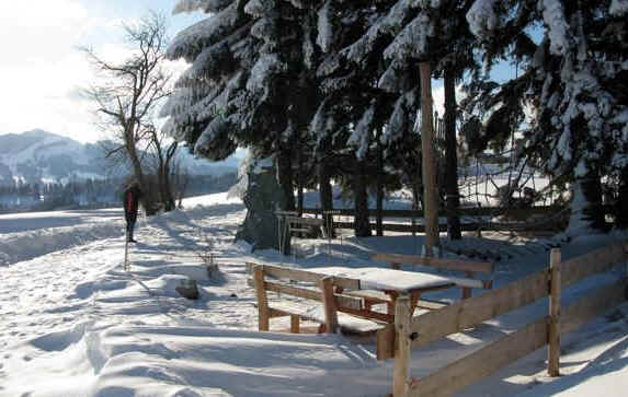 Panoramaweg Oy-Mittelberg