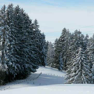 Panoramaweg Oy-Mittelberg