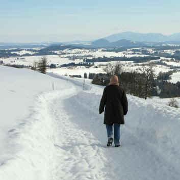 Panoramaweg Oy-Mittelberg