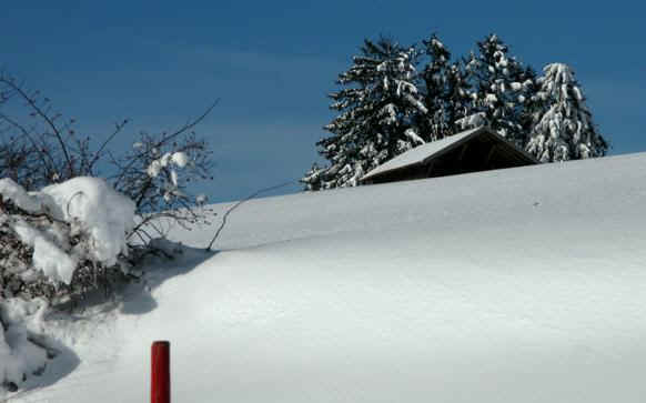 Panoramaweg Oy-Mittelberg