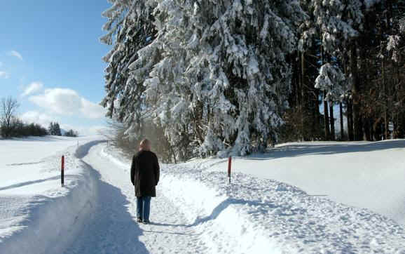 Panoramaweg Oy-Mittelberg