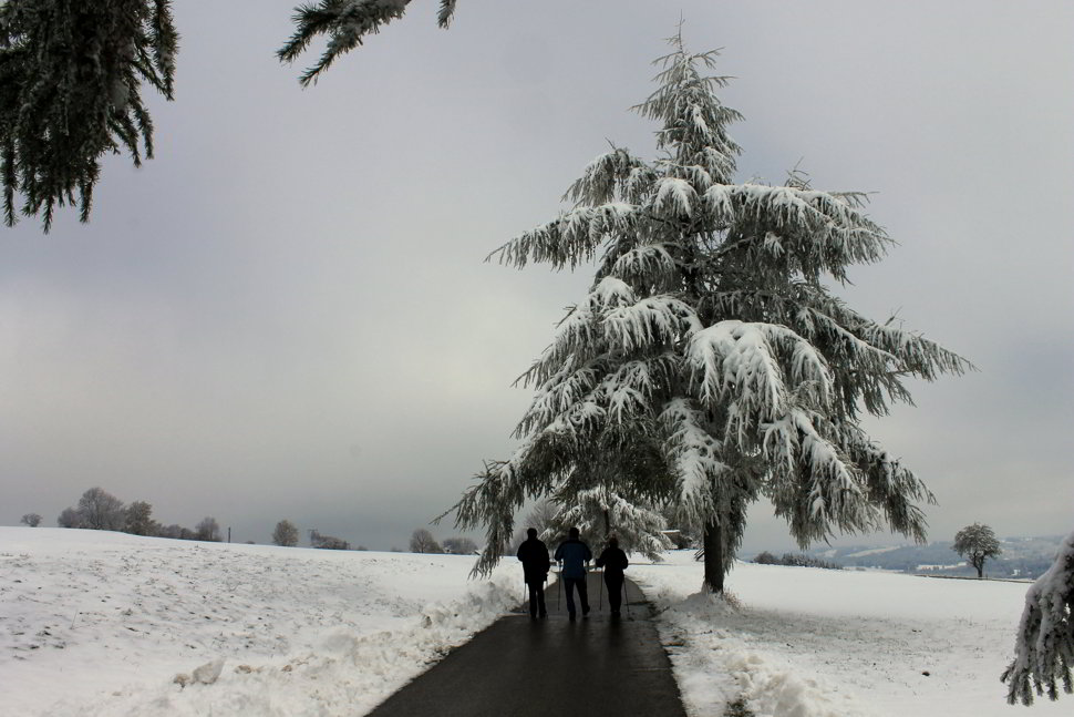 2012 Oy-Mittelberg