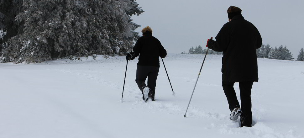 Schneestapfen