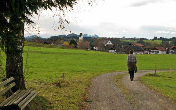 Premer Filz - Moorweg