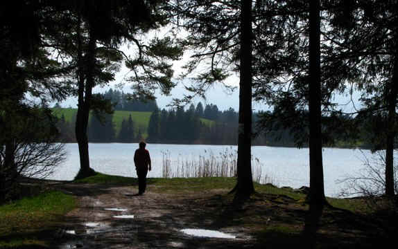 premer Lechsee