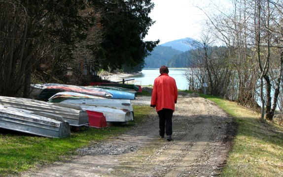 premer Lechsee