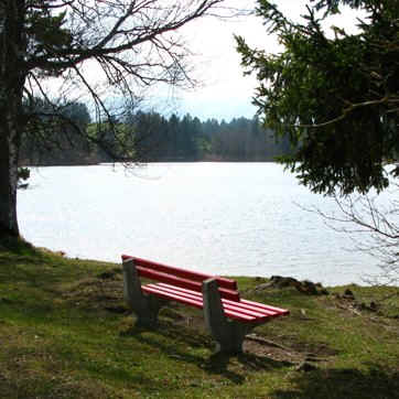 Schmutterweiher