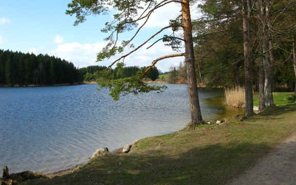Schmutterweiher