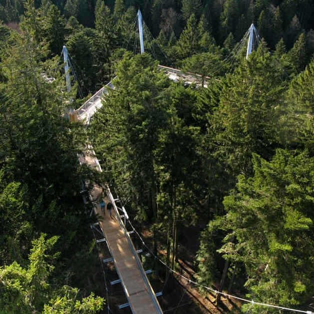 Skywalk Scheidegg