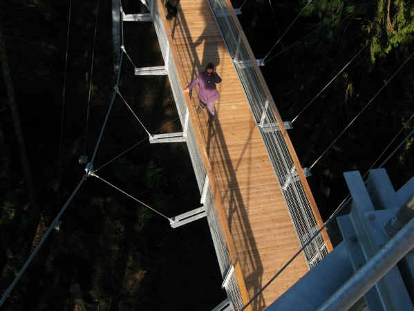 Skywalk Scheidegg