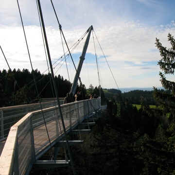 Skywalk Scheidegg