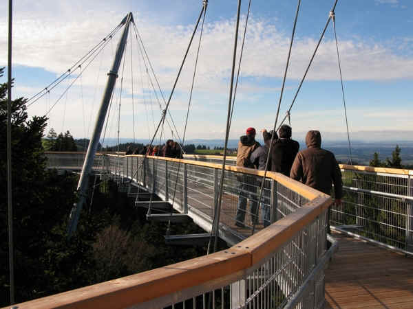 Skywalk Scheidegg