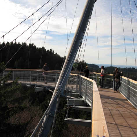 Skywalk Scheidegg