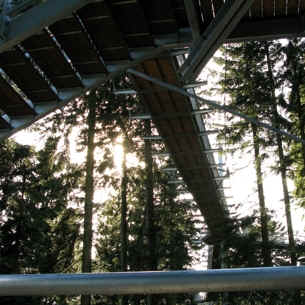 Skywalk Scheidegg