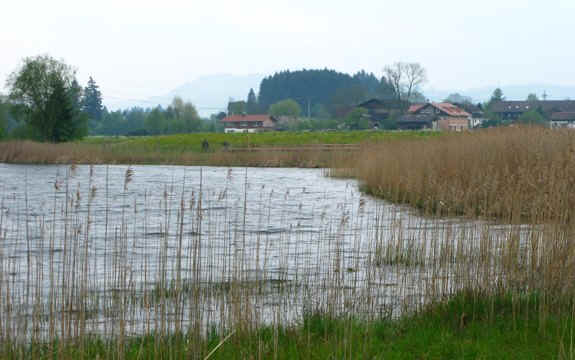 Rundweg Öschlesee