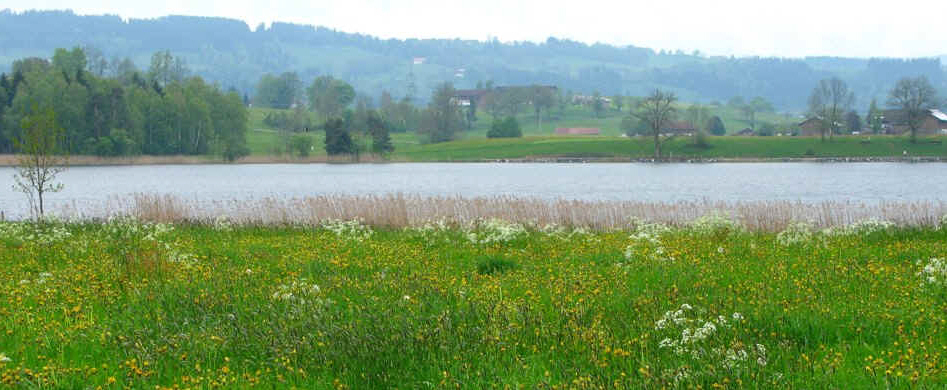 Rundweg Öschlesee