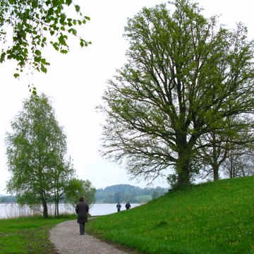 Rundweg Öschlesee