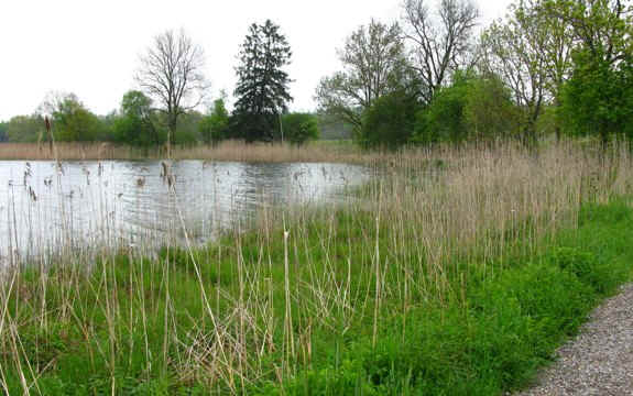 Rundweg Öschlesee