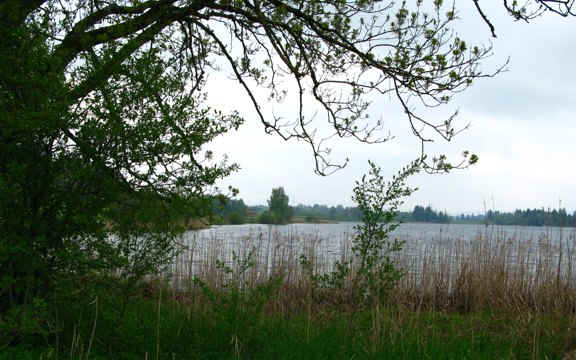 Rundweg Öschlesee