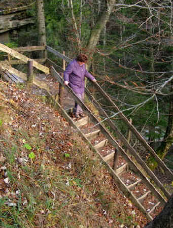 Scheidegger Wasserfälle