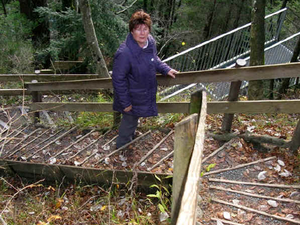 Scheidegger Wasserfälle