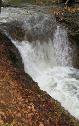 Scheidegger Wasserfälle