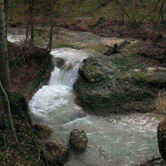 Scheidegger Wasserfälle