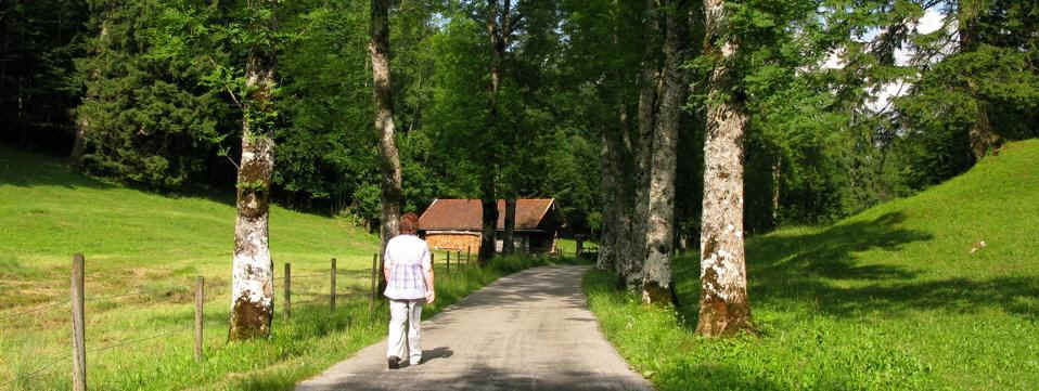 Weißensee - Alatsee