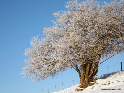 Winterwanderung VIA Claudia