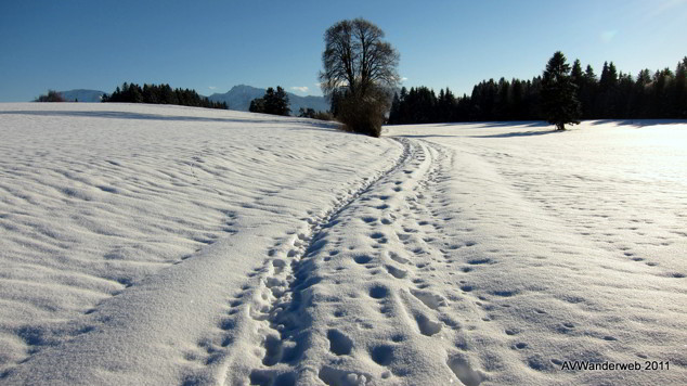 Winterwanderung VIA Claudia