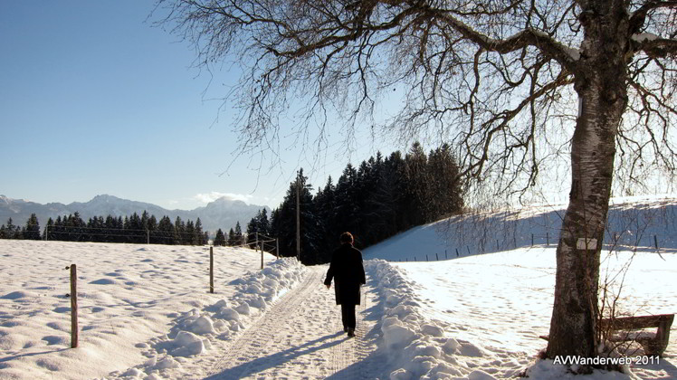 Winterwanderung VIA Claudia